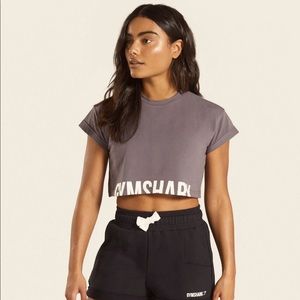 Gymshark Fraction Crop Top- dark grey- small